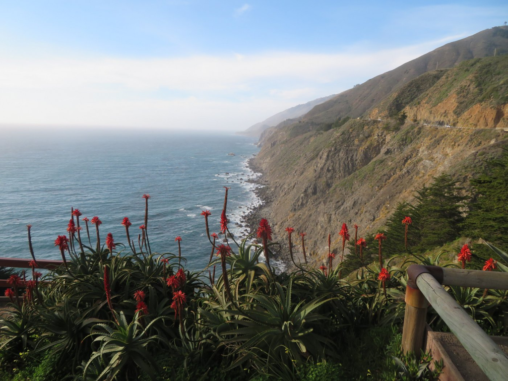 Beautiful San Francisco to Paso Robles Road Trip - The Lifestyle Dove