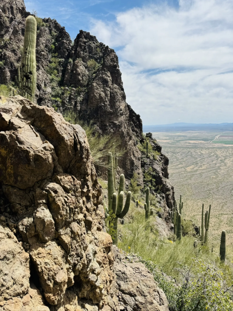 day trip itinerary from Tucson to Scottsdale