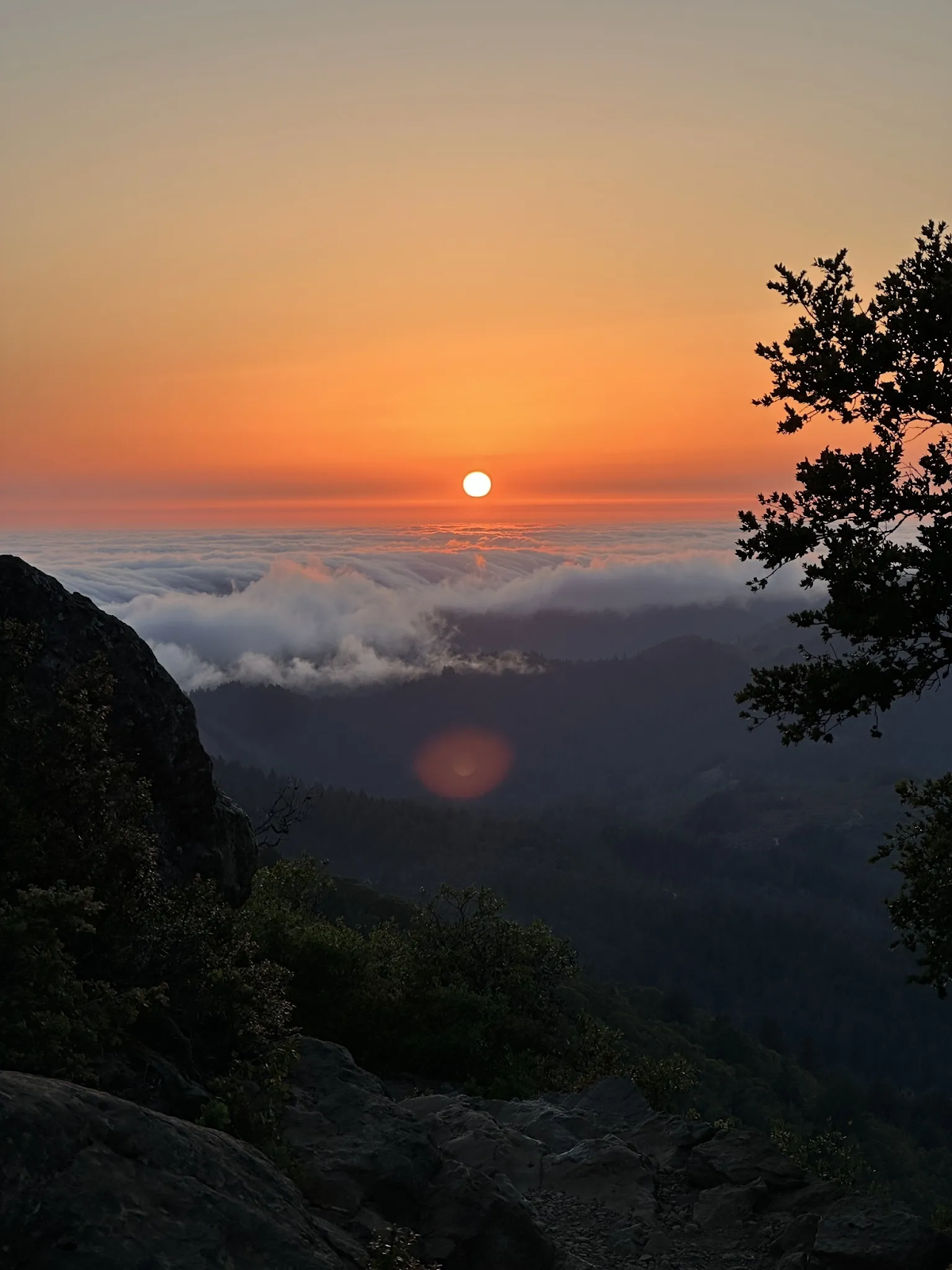 camping at mt. tam