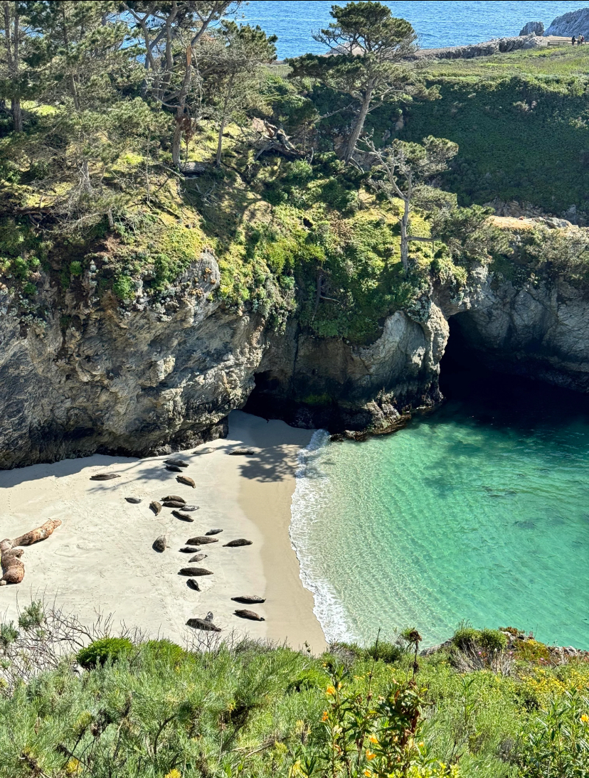 best big sur summer itinerary