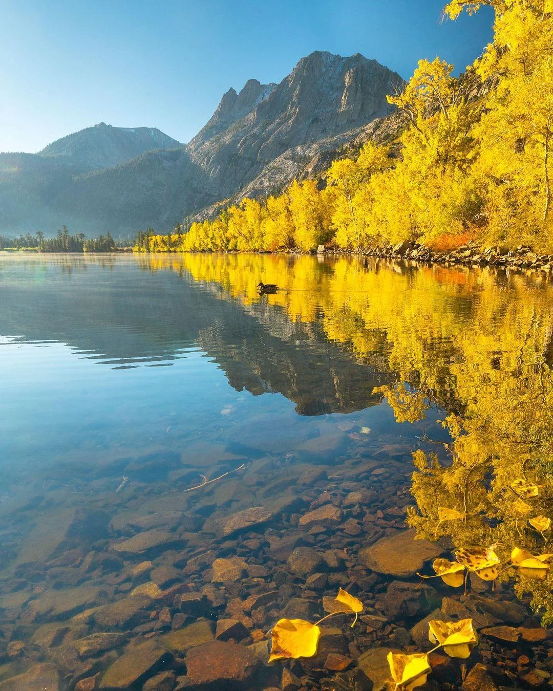 best fall destinations in california