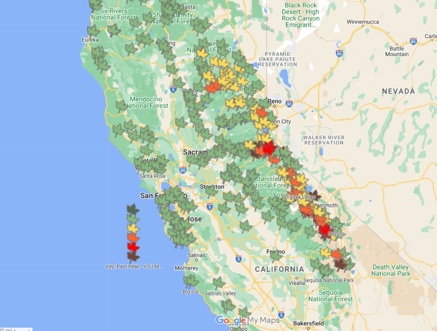 best fall road trips in california