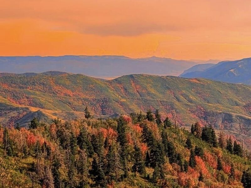 fall in northern california