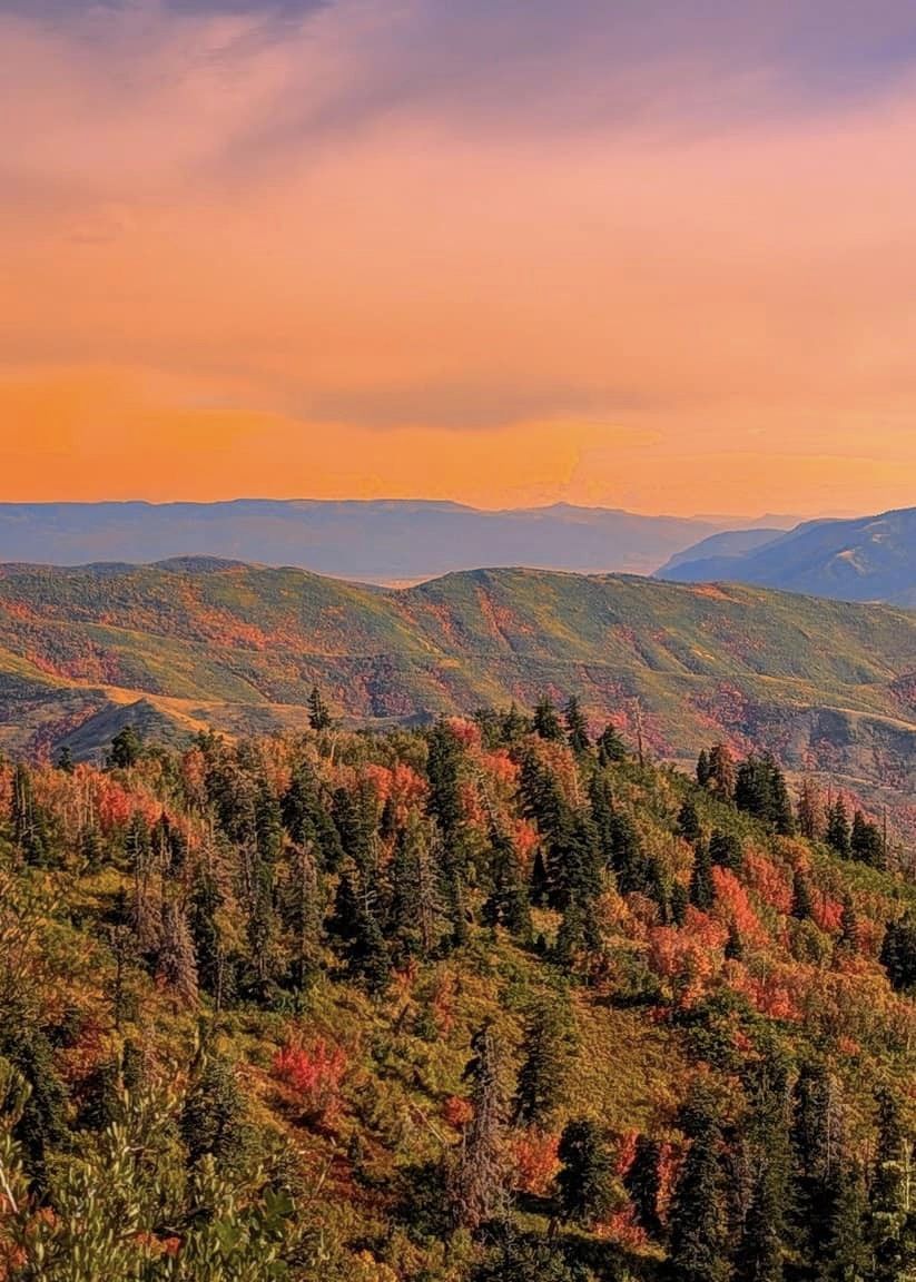 fall in northern california