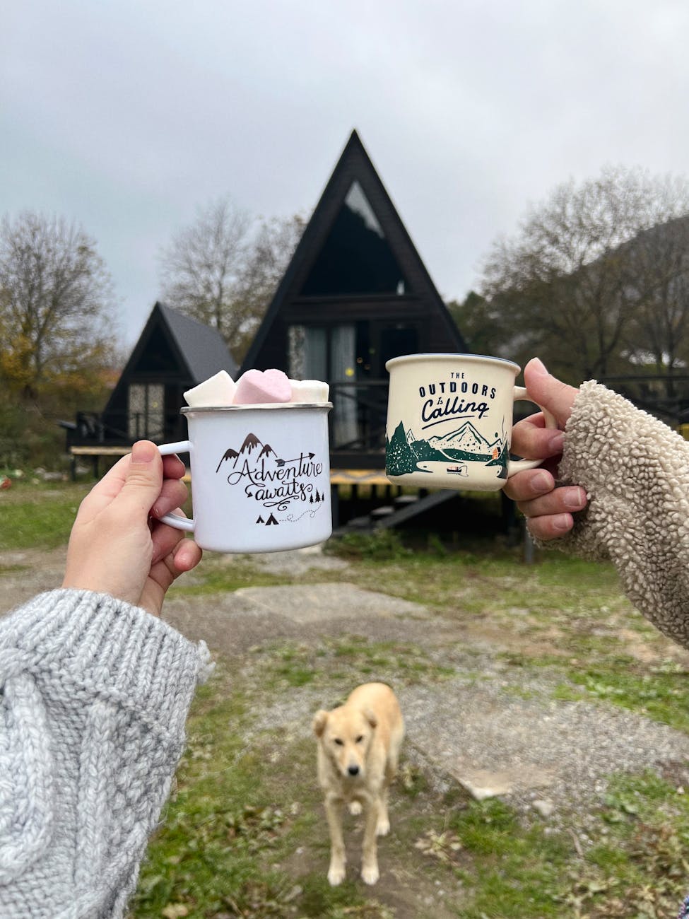 woman holding two cups and her dog looking at her