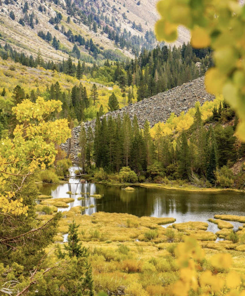 best places to see fall colors in mono county 