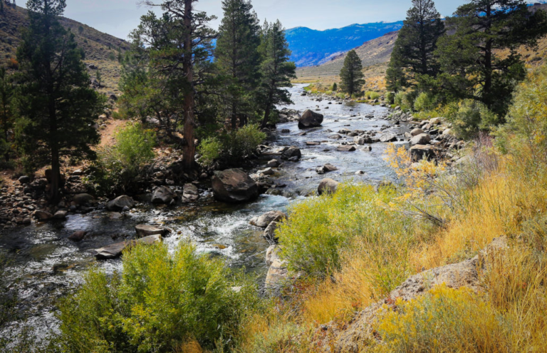 Fall in Love with Northern California's Stunning Autumn Drives - The ...