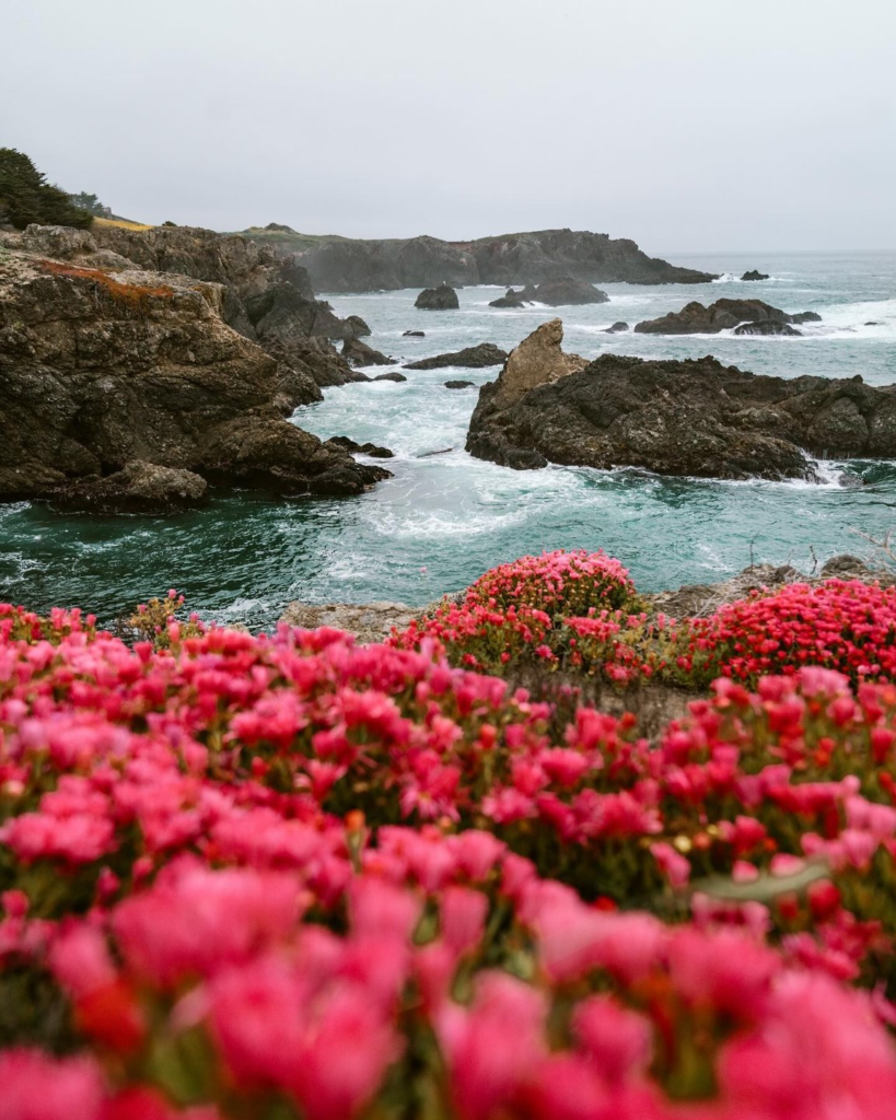 weekend trips from sf