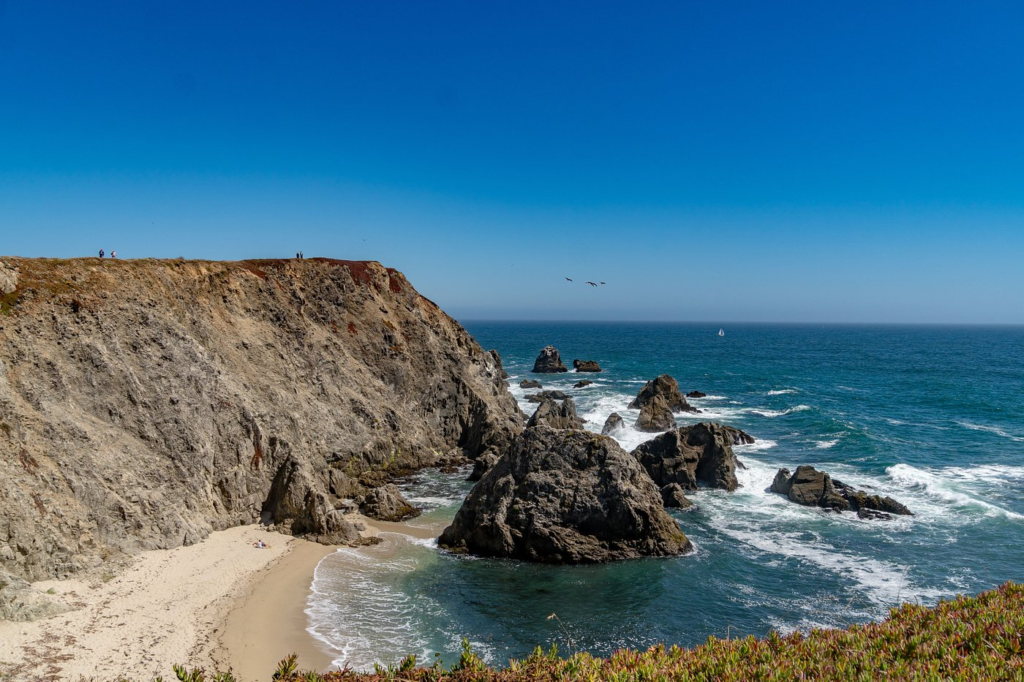 things to do in bodega bay