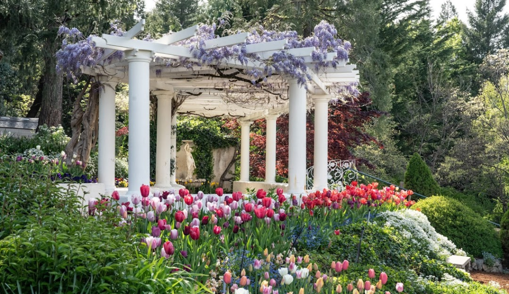 things to do in Nevada City