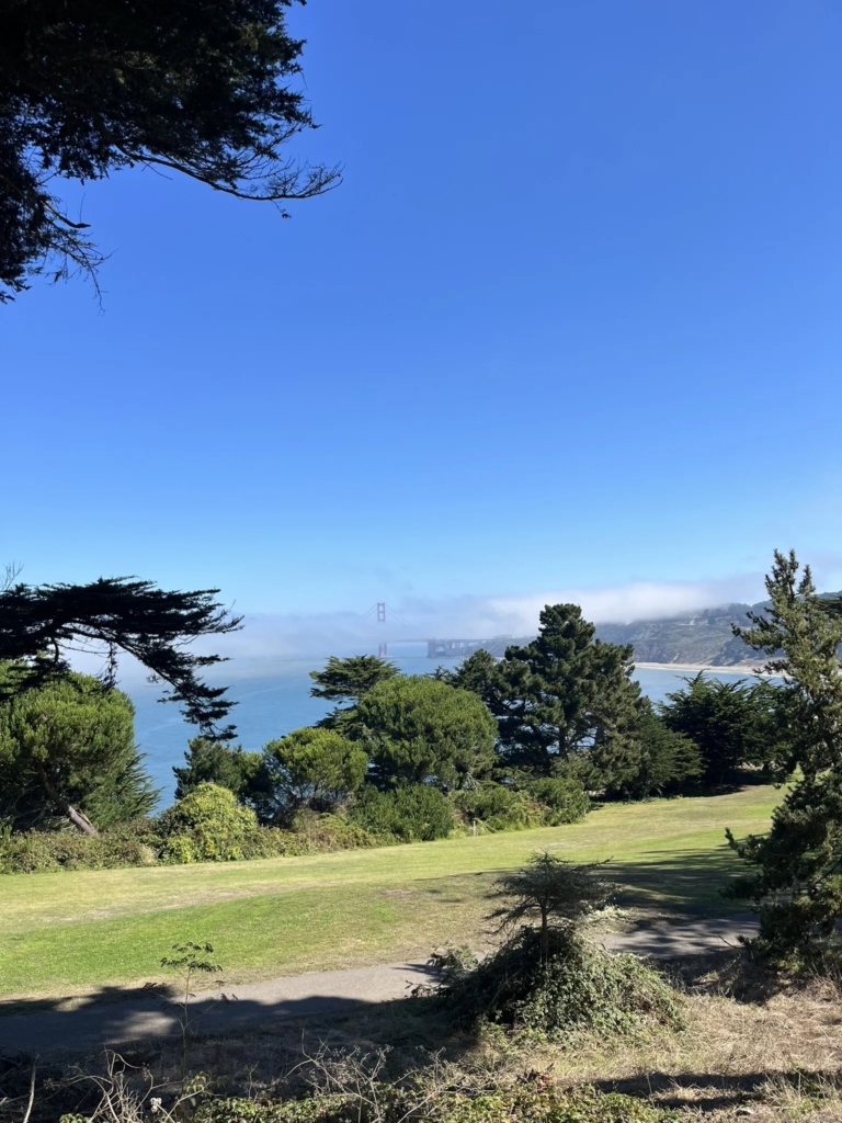 bay area hikes near san francisco 