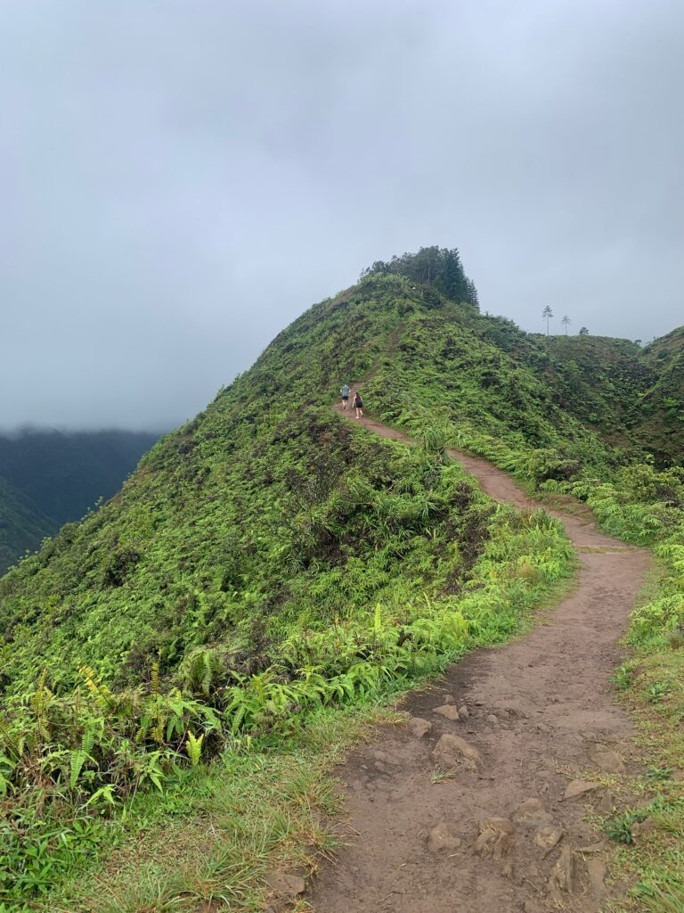 waihee ridge trail