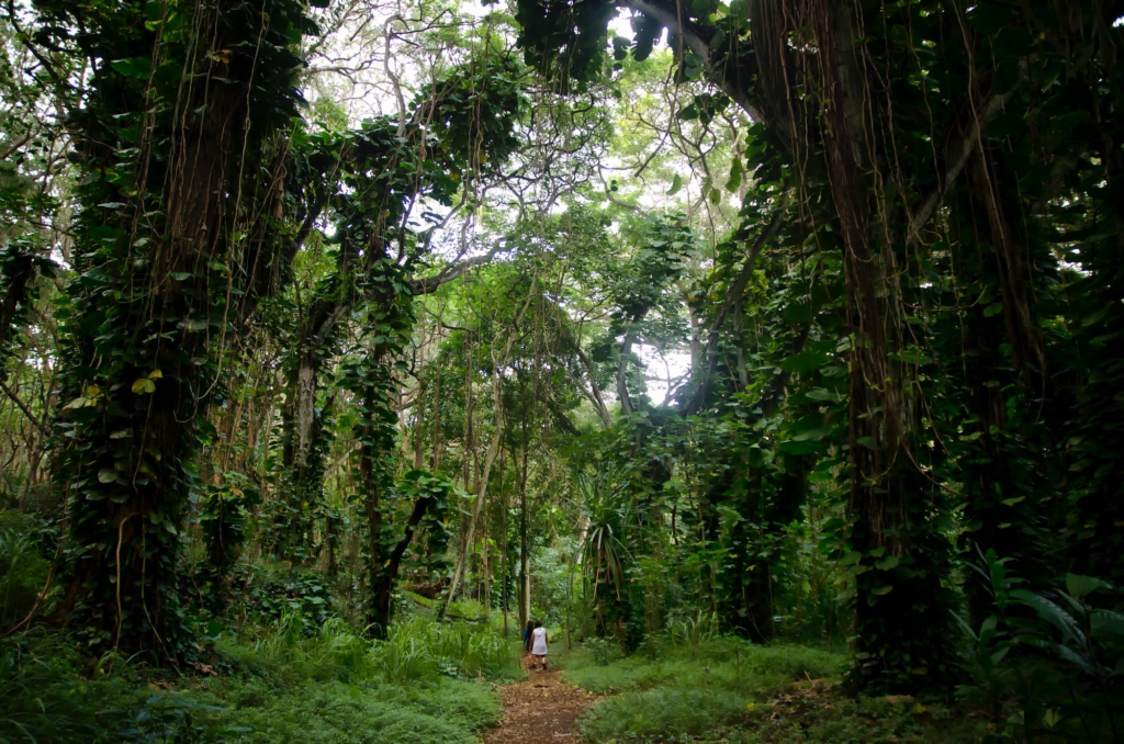 This image has an empty alt attribute; its file name is image-12-1024x678.png