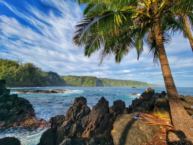 This image has an empty alt attribute; its file name is image-16.png