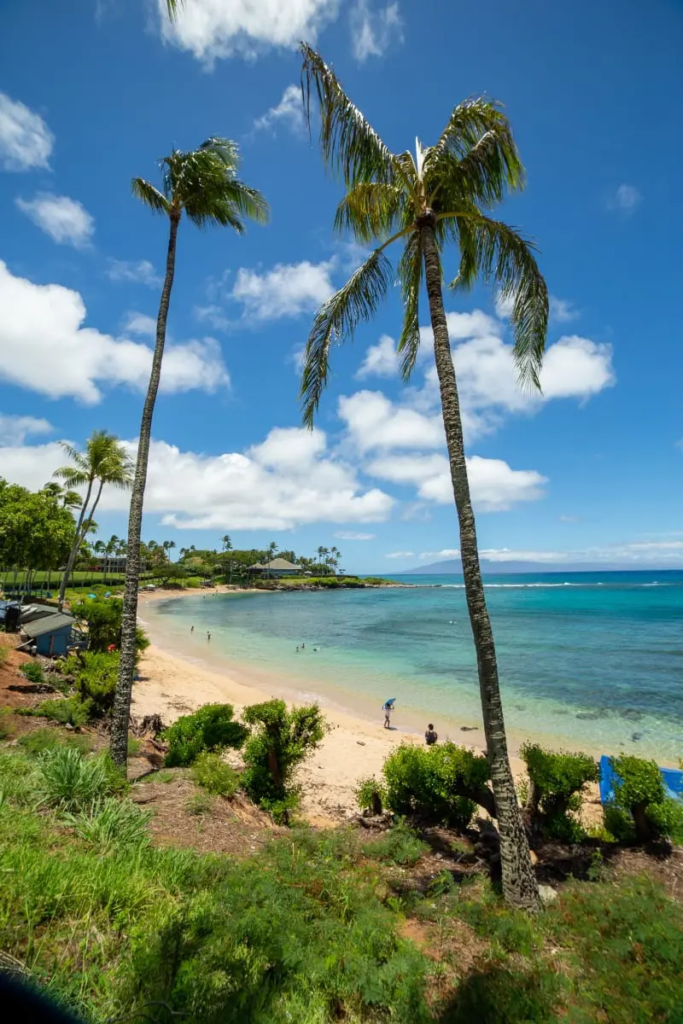 This image has an empty alt attribute; its file name is image-19-683x1024.png