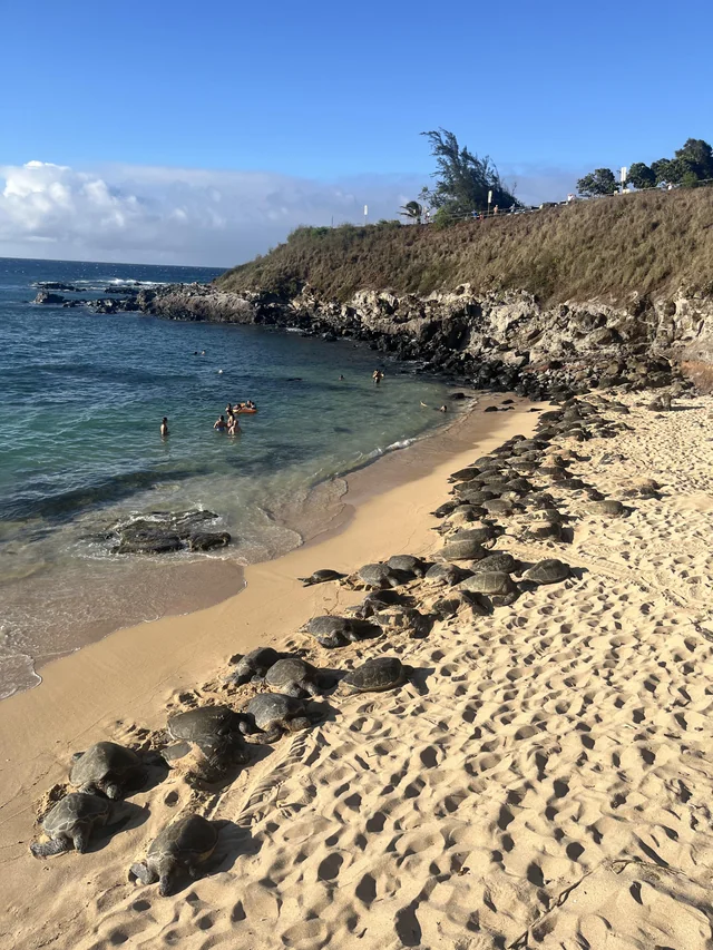 This image has an empty alt attribute; its file name is image-23.png