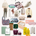 gift guide for traverlers