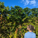 one week big island itinerary