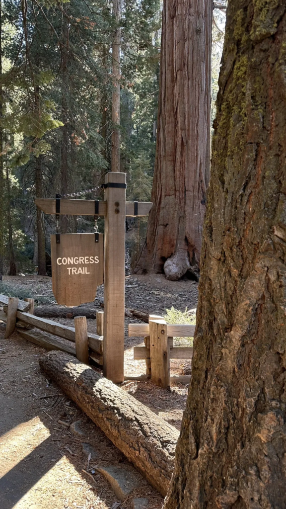 congress trail in sequoia national park 