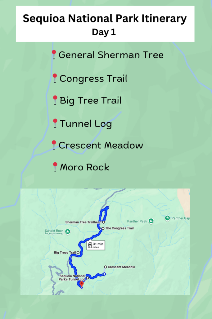 Sequoia National Park Itinerary 