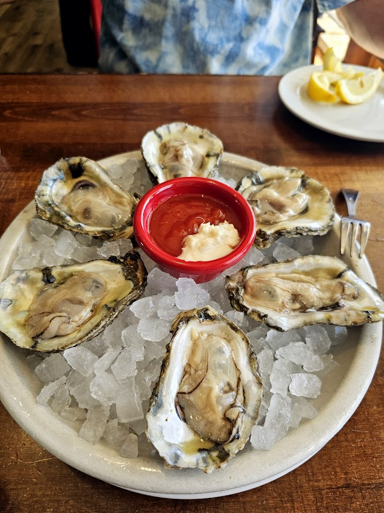 bnest things to do in santa cruz