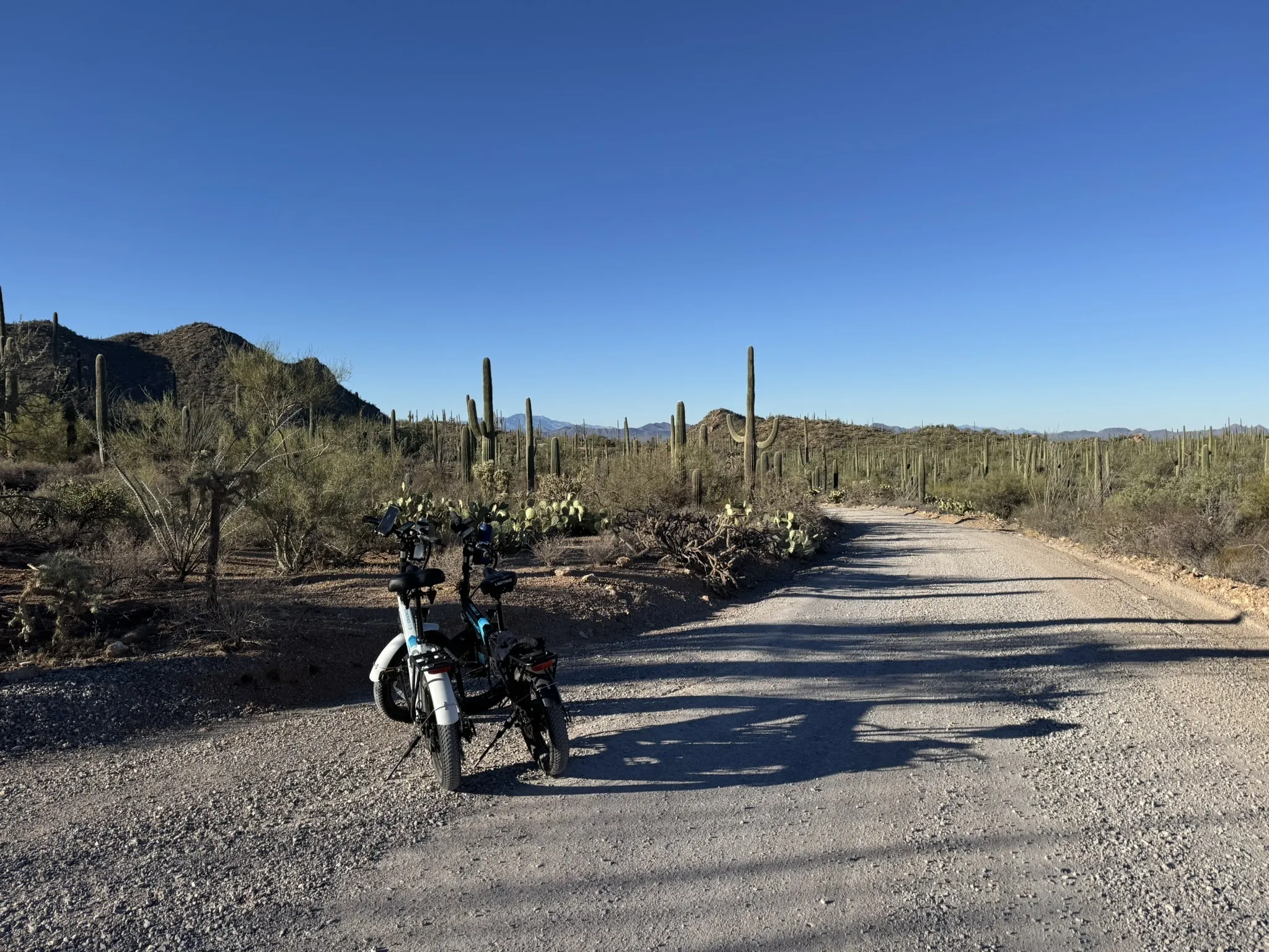 Saguaro National Park Travel Guide - The Lifestyle Dove