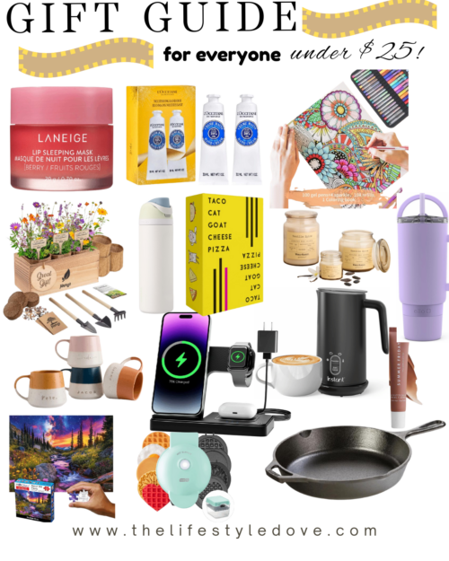 gifts under 25 dollars